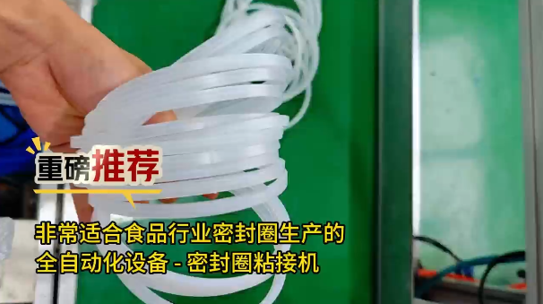 「視頻」重磅推薦！非常適合食品工業(yè)密封圈生產(chǎn)的全自動(dòng)化設(shè)備--密封圈粘接機(jī)